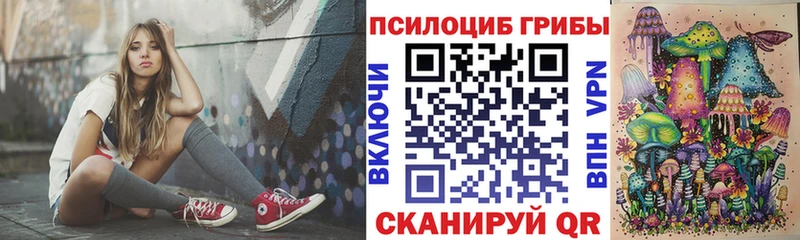 продажа наркотиков  Торжок  Псилоцибиновые грибы Psilocybe 